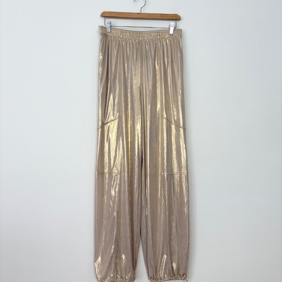 Urban Renewal shimmer linen toggle pants - Picture 2 of 7